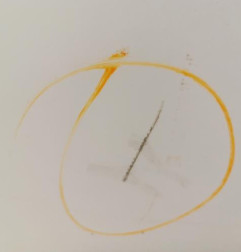 Porte arriere droit CITROEN C5 2