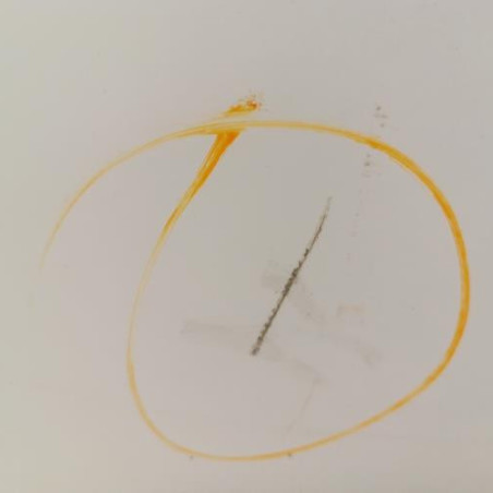 Porte arriere droit CITROEN C5 2