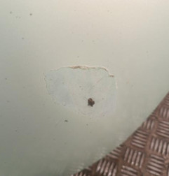 Lunette arriere VOLKSWAGEN NEW BEETLE 1