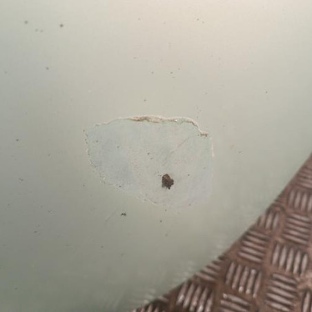 Lunette arriere VOLKSWAGEN NEW BEETLE 1