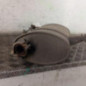 Silencieux arriere (echappement) PEUGEOT 206