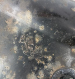 Amortisseur avant gauche RENAULT KANGOO 2 Photo n°6