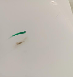 Aile avant droit CITROEN JUMPY 2 Photo n°5