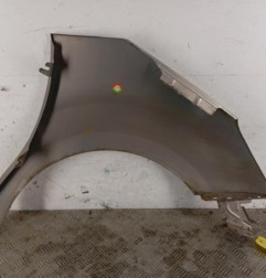 Aile avant gauche CITROEN C3 2 Photo n°5