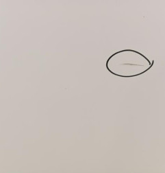 Porte arriere droit OPEL ANTARA