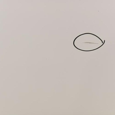 Porte arriere droit OPEL ANTARA