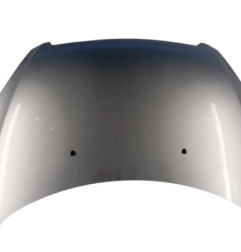 Capot PEUGEOT 307 Photo n°1