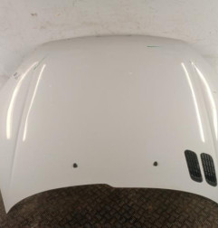 Capot PEUGEOT 206 Photo n°1