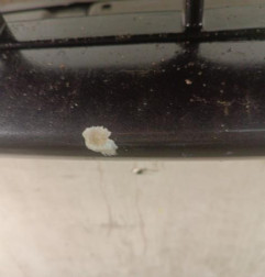 Pare choc avant CITROEN C8 Photo n°4