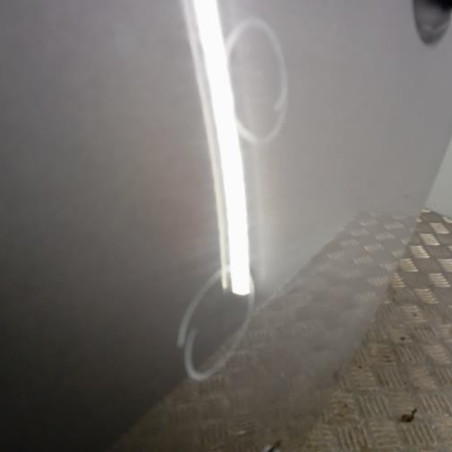 Porte arriere gauche RENAULT GRAND MODUS