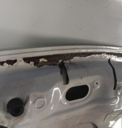 Capot PEUGEOT PARTNER 2 Photo n°6