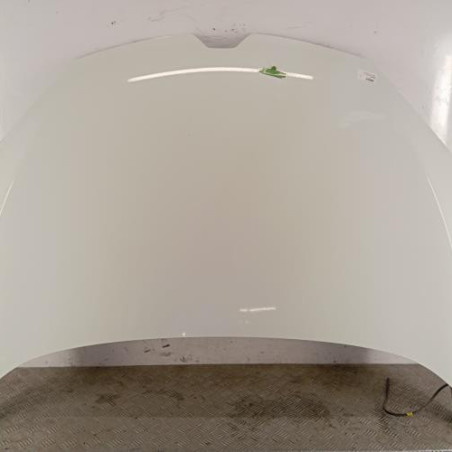 Capot RENAULT MEGANE 3 Photo n°1