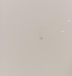 Capot RENAULT MEGANE 3 Photo n°3