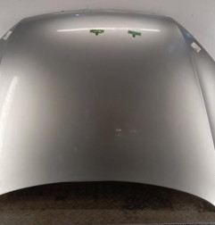 Capot VOLKSWAGEN PASSAT 6 Photo n°1