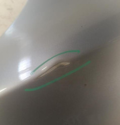 Aile avant gauche BMW SERIE 5 F07 GRAN TURISMO