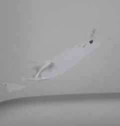 Porte arriere droit CITROEN C3 2