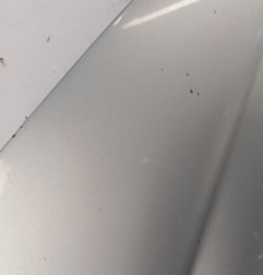 Capot PEUGEOT 206 Photo n°4