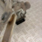 Moteur essuie glace avant RENAULT CLIO 3