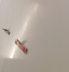 Capot MERCEDES VITO 639 Photo n°4