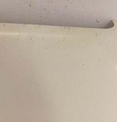 Capot MERCEDES VITO 639 Photo n°6