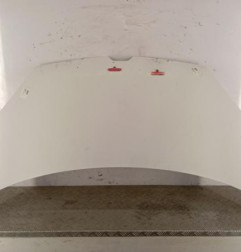 Capot RENAULT KANGOO 2 Photo n°1