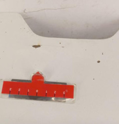 Capot RENAULT KANGOO 2