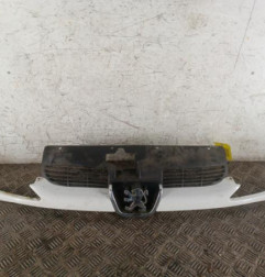 Calandre PEUGEOT 206 Photo n°1