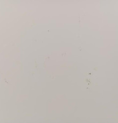 Porte avant droit RENAULT MEGANE 3