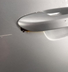 Porte avant gauche VOLKSWAGEN PASSAT 6