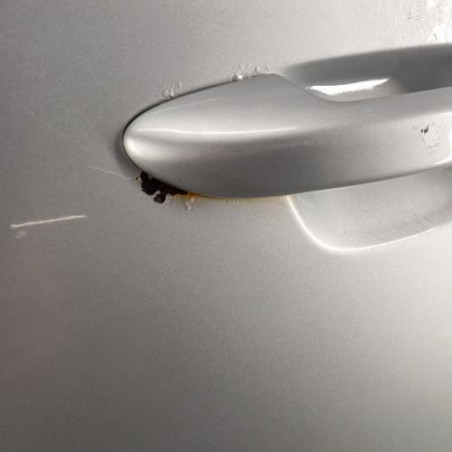 Porte avant gauche VOLKSWAGEN PASSAT 6