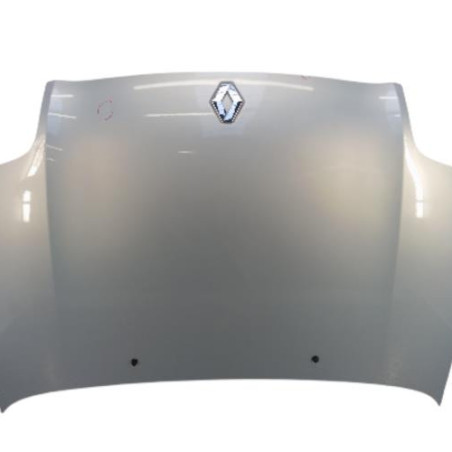 Capot RENAULT CLIO 2 Photo n°1