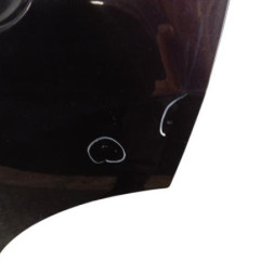 Porte arriere gauche NISSAN QASHQAI 1 Photo n°3