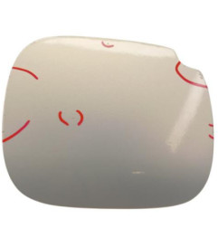 Trappe d'essence RENAULT SCENIC 1 Photo n°1