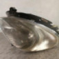 Optique avant principal gauche (feux)(phare) CITROEN XSARA PICASSO