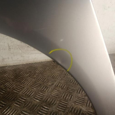 Aile avant gauche SEAT IBIZA 3