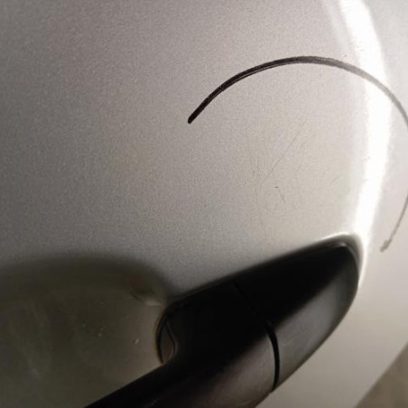 Porte arriere gauche CITROEN C4 PICASSO 1