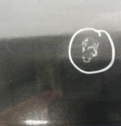 Malle/Hayon arriere DACIA DUSTER 1 Photo n°4