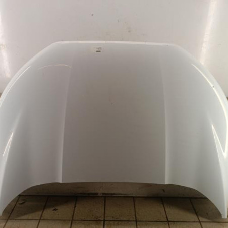 Capot FORD ECOSPORT Photo n°1