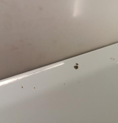 Capot FORD ECOSPORT Photo n°3