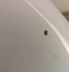 Capot FORD ECOSPORT Photo n°4