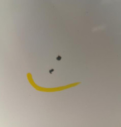 Capot PEUGEOT 206 Photo n°3