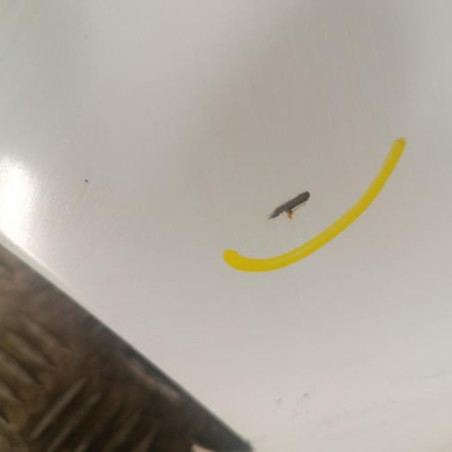 Aile avant gauche PEUGEOT EXPERT 1