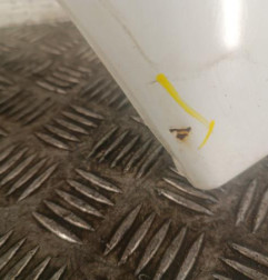 Aile avant gauche PEUGEOT EXPERT 1 Photo n°5