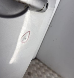 Porte avant gauche RENAULT MODUS