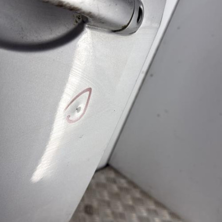 Porte avant gauche RENAULT MODUS