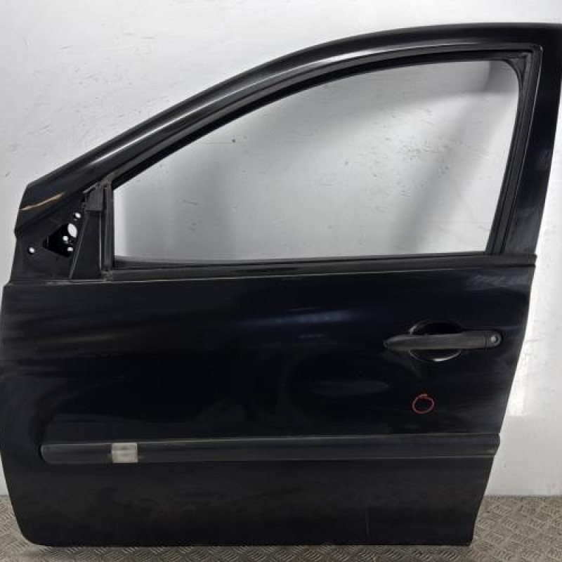Porte avant gauche RENAULT CLIO 3