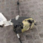 Serrure avant droit CITROEN C4 1