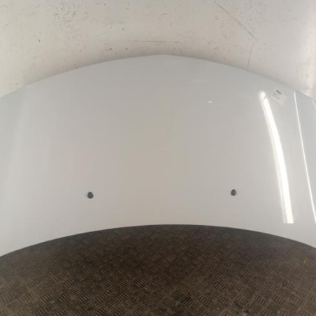 Capot RENAULT CLIO 3 Photo n°1