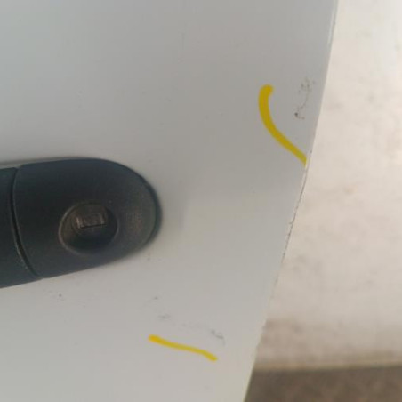 Porte avant gauche RENAULT CLIO 3