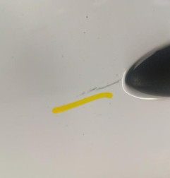 Porte avant gauche RENAULT CLIO 3 Photo n°3